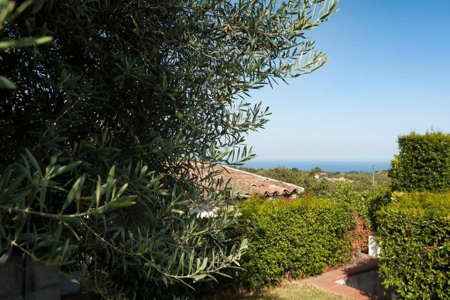 Villa Ginevra Santa Venerina Buitenkant foto
